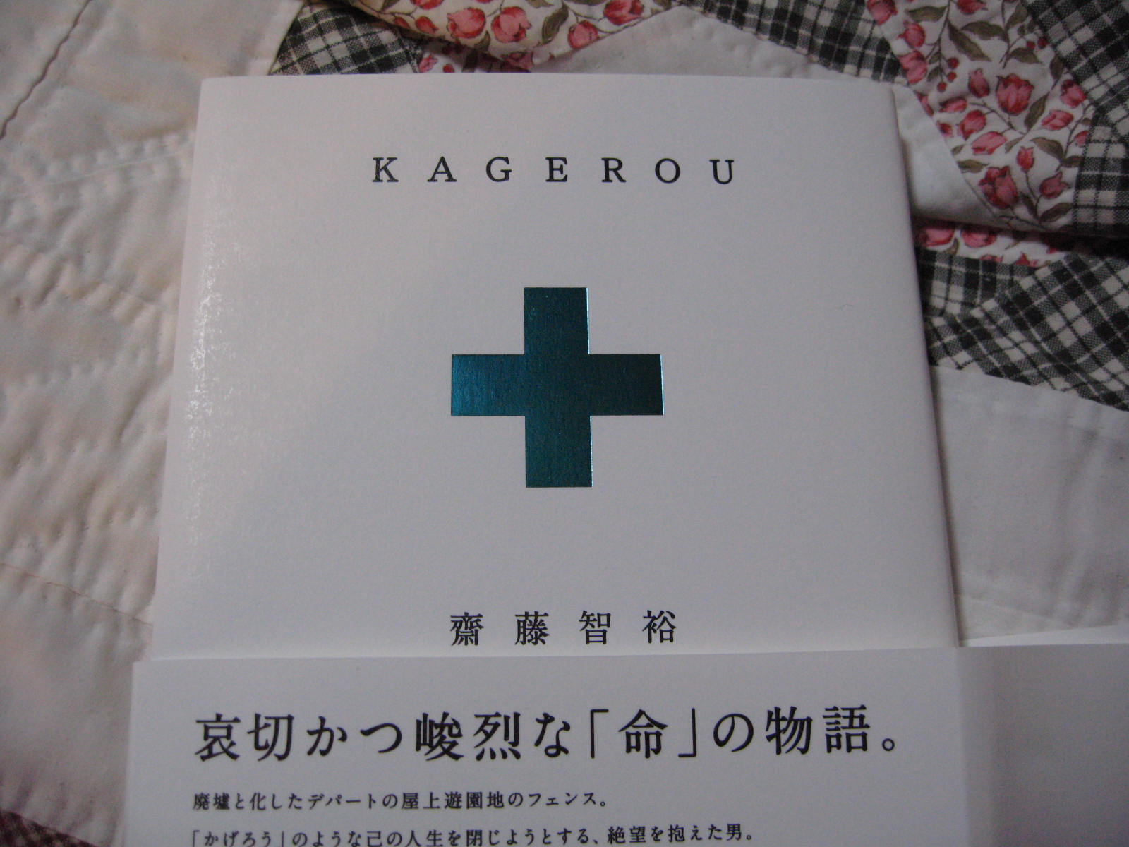 kagerou  かげろう_f0146620_21411541.jpg