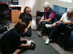 f0232522_10531827.gif
