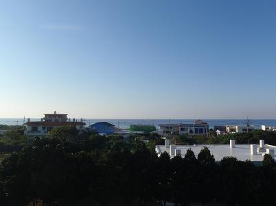 a0147023_814428.jpg