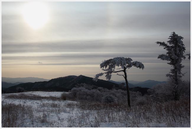 茶臼山冬景色　その1_e0077631_1858337.jpg