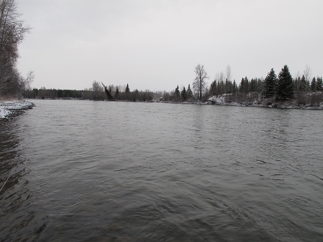 b0210236_20481569.jpg