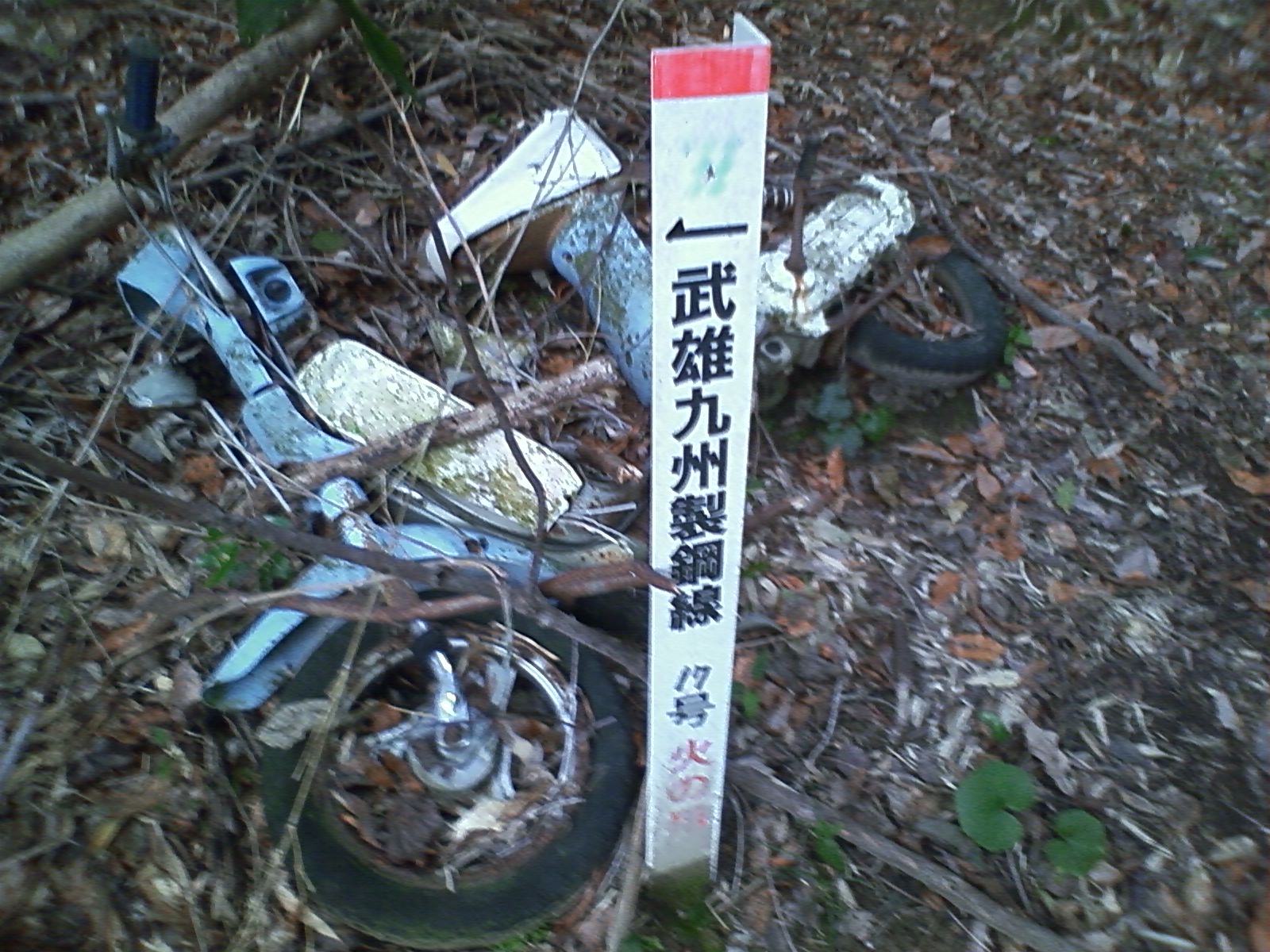 e0138939_06106.jpg