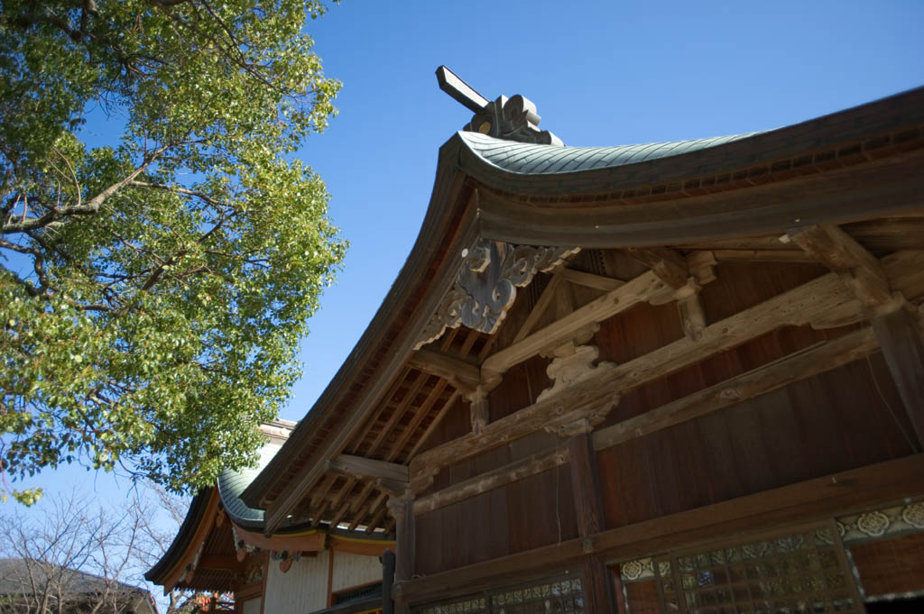 ◆諏訪神社　２　Suwa Srine_b0023047_6521883.jpg