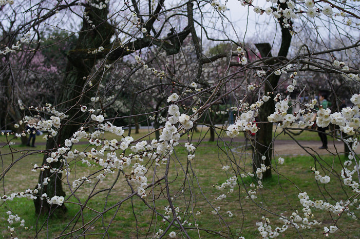 f0152550_221556.jpg