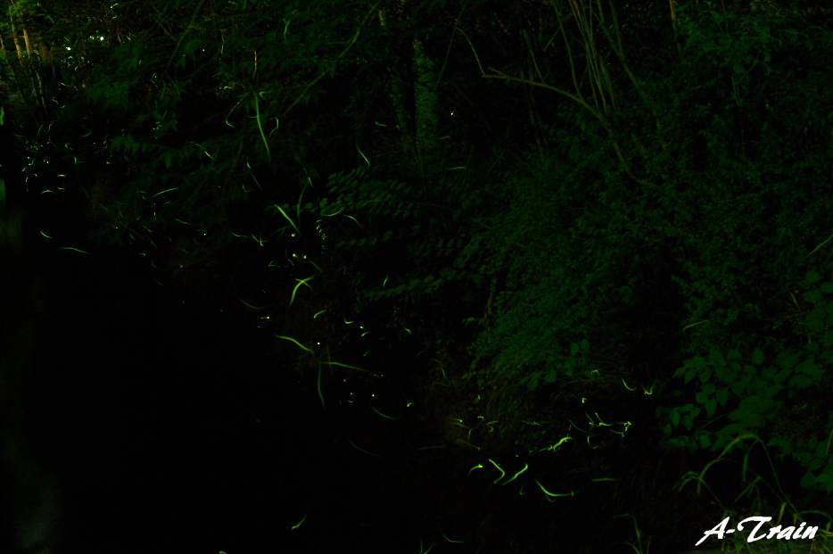 f0152550_22294663.jpg