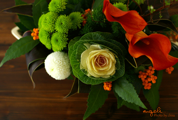 f0227975_11392060.gif