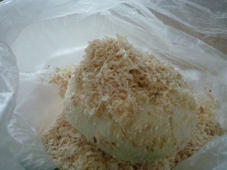c0178183_96797.jpg
