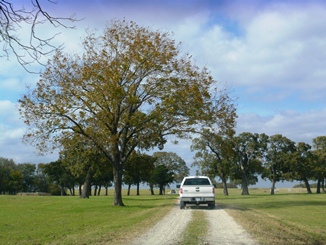 f0232083_74436.jpg