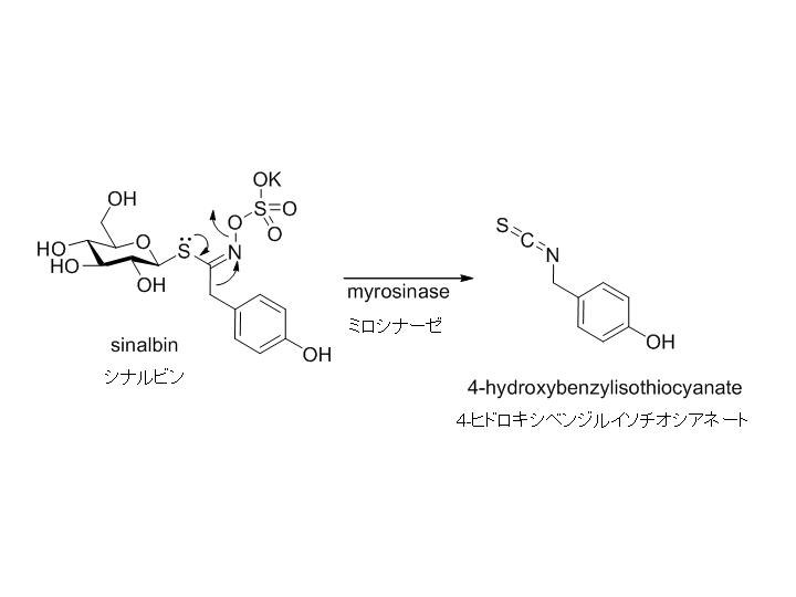 辛味成分(とバニラとの関係)_c0024385_13211592.jpg