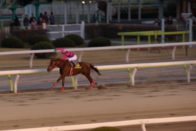 東京大賞典(JpnI)はスマートファルコンが驚愕の日本レコードで逃げ切る