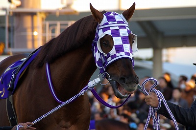 東京大賞典(JpnI)はスマートファルコンが驚愕の日本レコードで逃げ切る