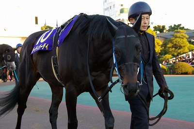 東京大賞典(JpnI)はスマートファルコンが驚愕の日本レコードで逃げ切る