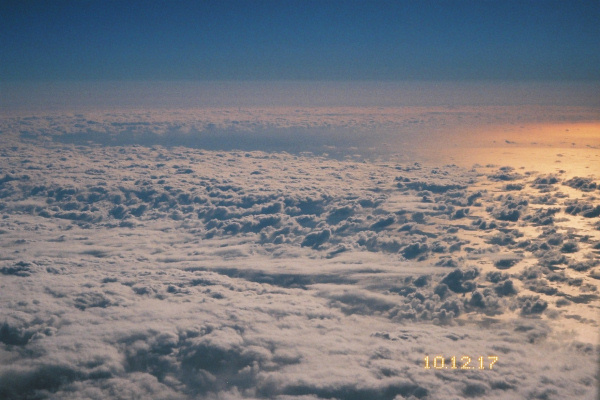 e0051186_1742455.jpg