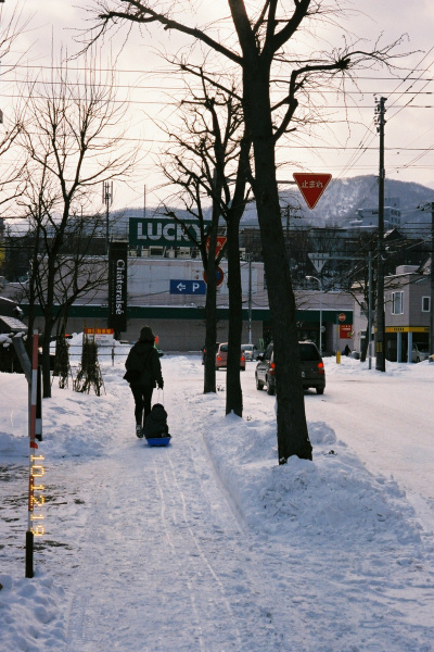 2010年12月の一日一枚(17~31日)_e0051186_1831314.jpg