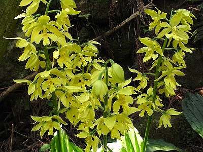 f0187402_12373254.jpg