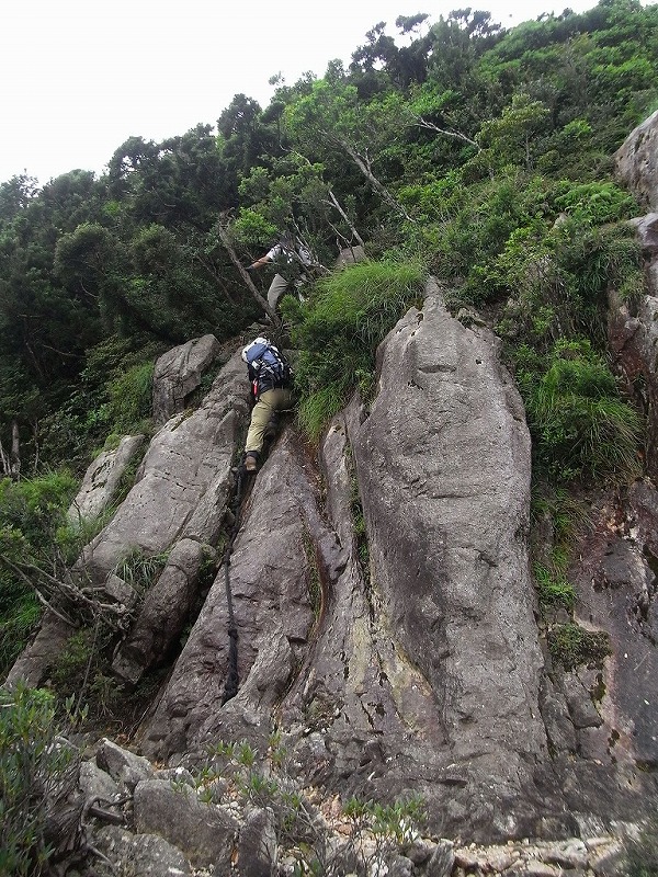 f0187402_12375575.jpg