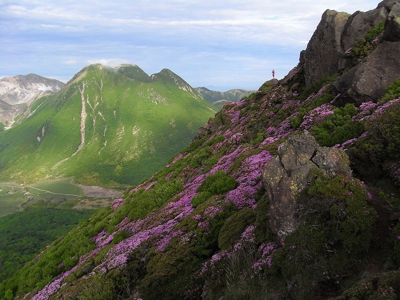 f0187402_1237560.jpg