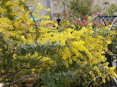a0123003_0123141.jpg