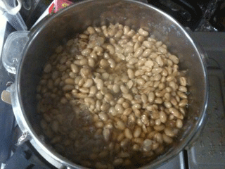 c0216405_14335795.gif