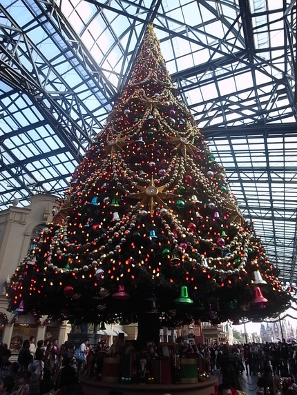 b0166909_14461987.jpg