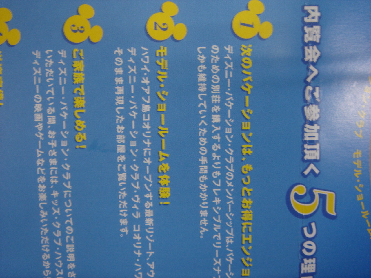 a0159913_1711417.jpg