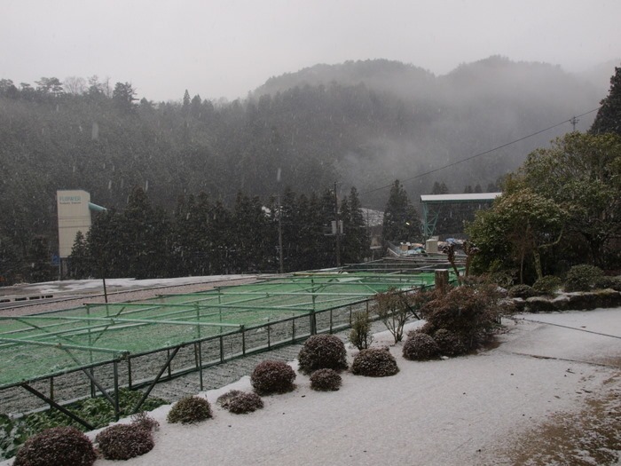今朝の雪。。_c0116915_23344731.jpg