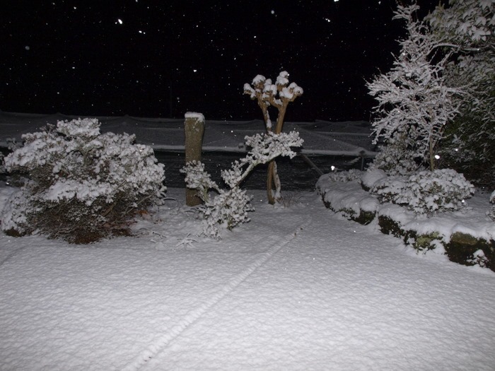 夜8時過ぎの雪景色。。_c0116915_23391480.jpg