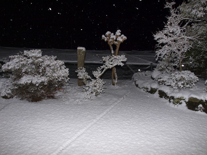 夜８時過ぎの雪景色。。_c0116915_23391480.jpg