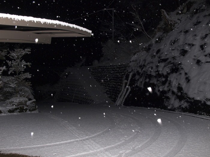 夜8時過ぎの雪景色。。_c0116915_23405485.jpg