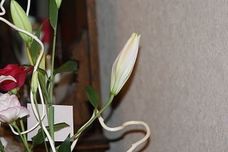 f0170524_11444174.jpg