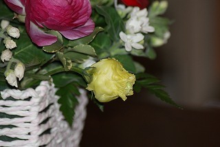 f0170524_11445571.jpg
