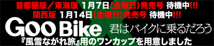 最新ランキング更新! 「やっぱり男はバイクですよね!」って言われたい女の子ベストテン_f0203027_15533733.jpg