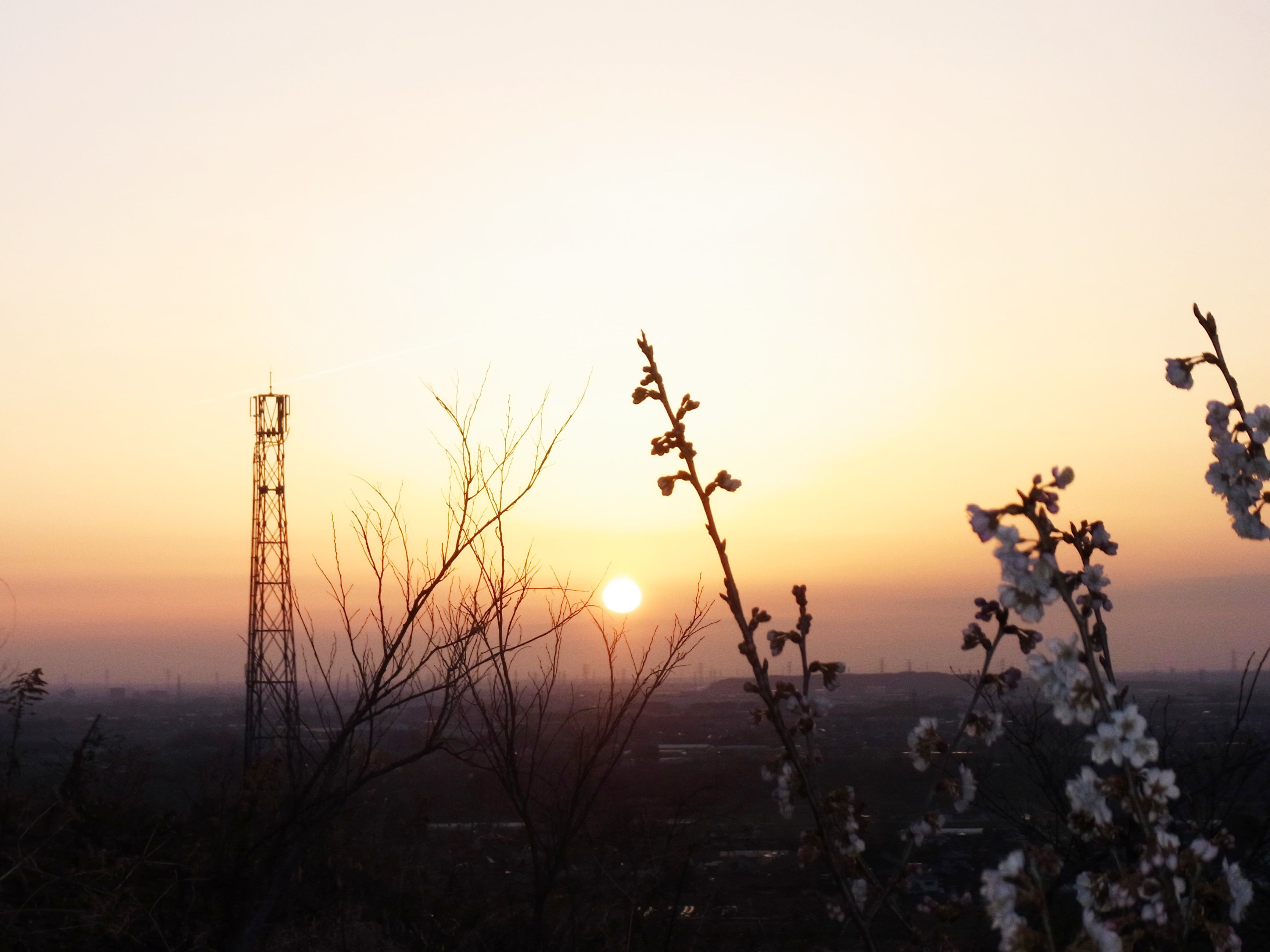 f0214527_2241571.jpg