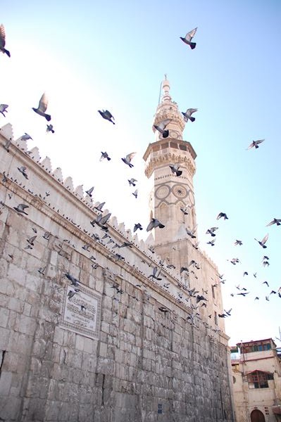 e0146031_9144670.jpg