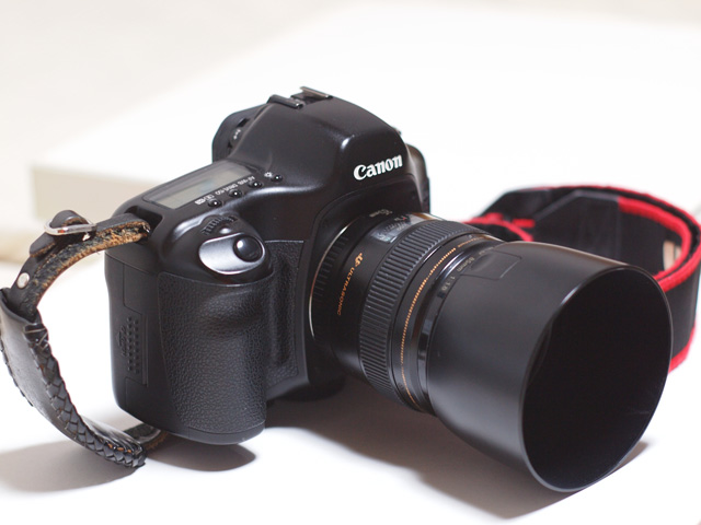 EF85mm F1.8 USM レビュー : 【旧】写真とカメラとレンズの EF85mm F1.8 USM レビュー : 【旧】写真とカメラとレンズの
