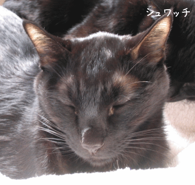 a0166338_13473287.gif