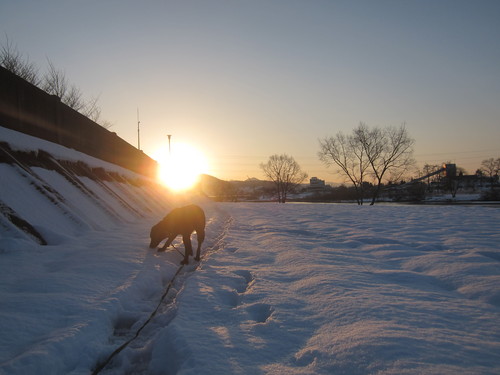 今日は天気が良いですよ、明日からは・・・・・_d0156438_13134367.jpg