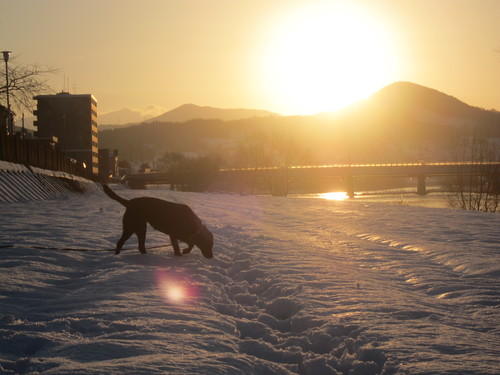 今日は天気が良いですよ、明日からは・・・・・_d0156438_13143781.jpg