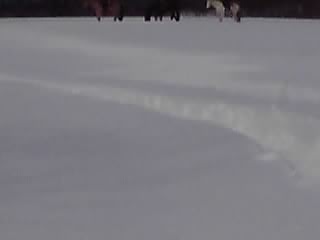 e0145441_20248.jpg