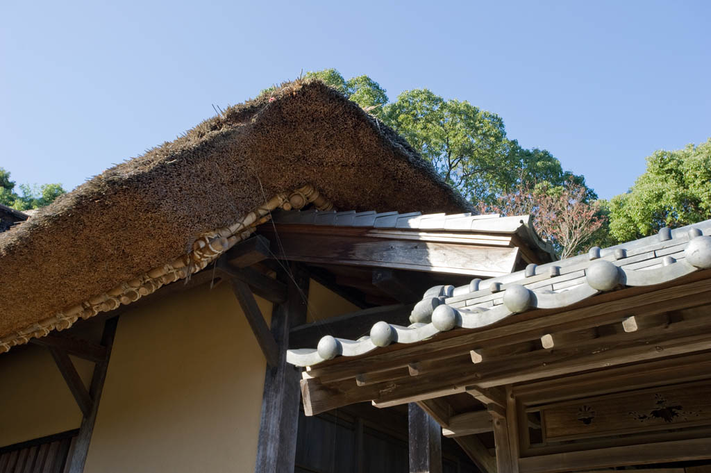 千年家 横大路家住宅 Millennium House Yokooozi Home 空 Sora そら 千年家 横大路家住宅 Millennium House Yokooozi Home 空 Sora そら
