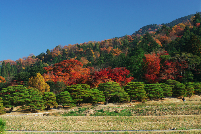 晩秋・修学院離宮２（下離宮編）_f0155048_21474286.jpg