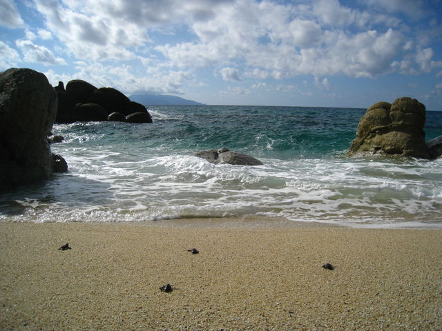 b0160957_105718.jpg