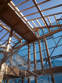 e0194060_0285957.jpg