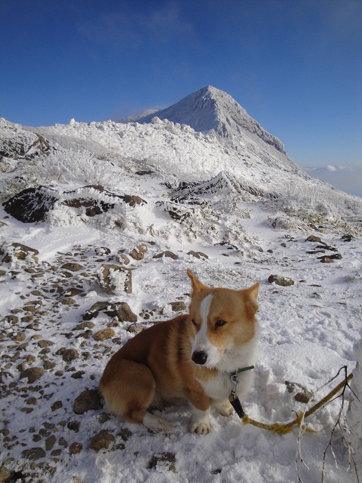 kan君と歩いた今年最後の九重山_f0016066_325241.jpg