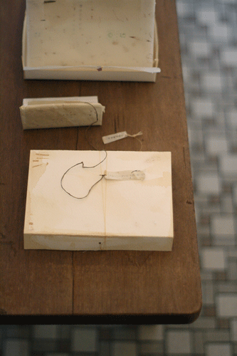 c0192970_0211963.gif