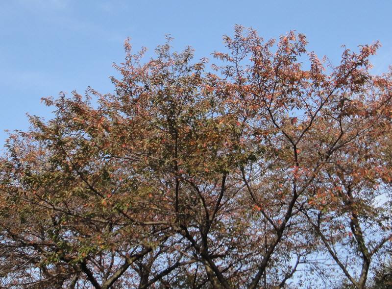 f0059673_19201121.jpg