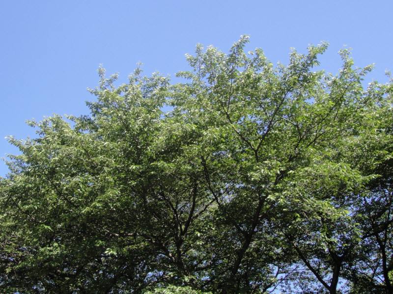 f0059673_19224010.jpg