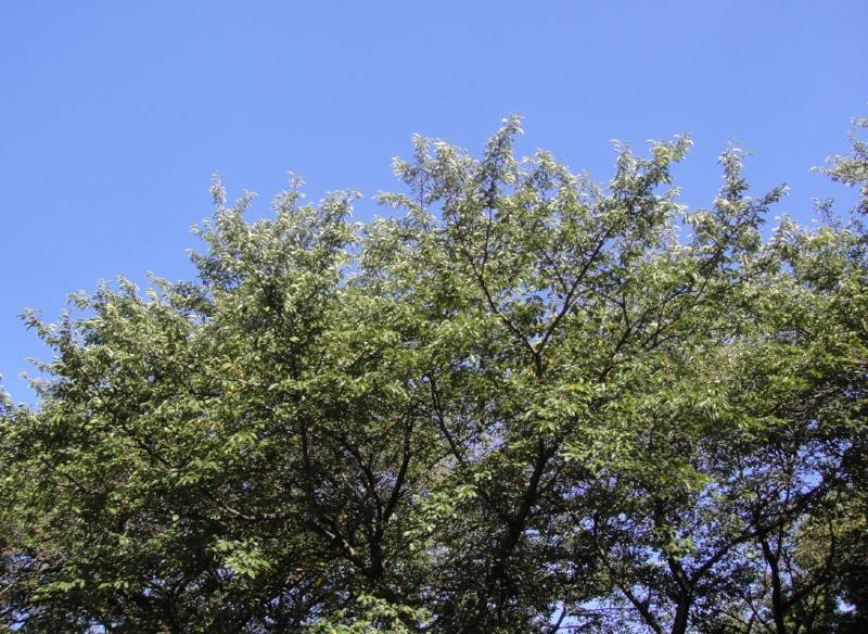 f0059673_1922439.jpg