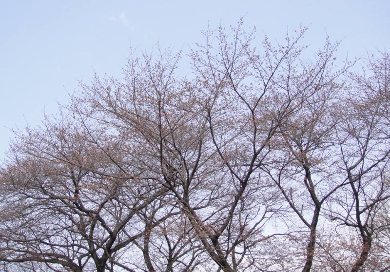 f0059673_19264167.jpg