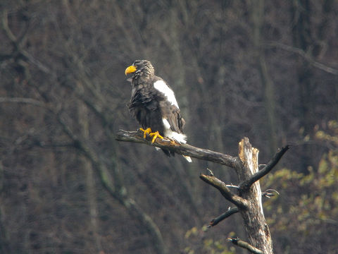 c0002874_18292783.jpg